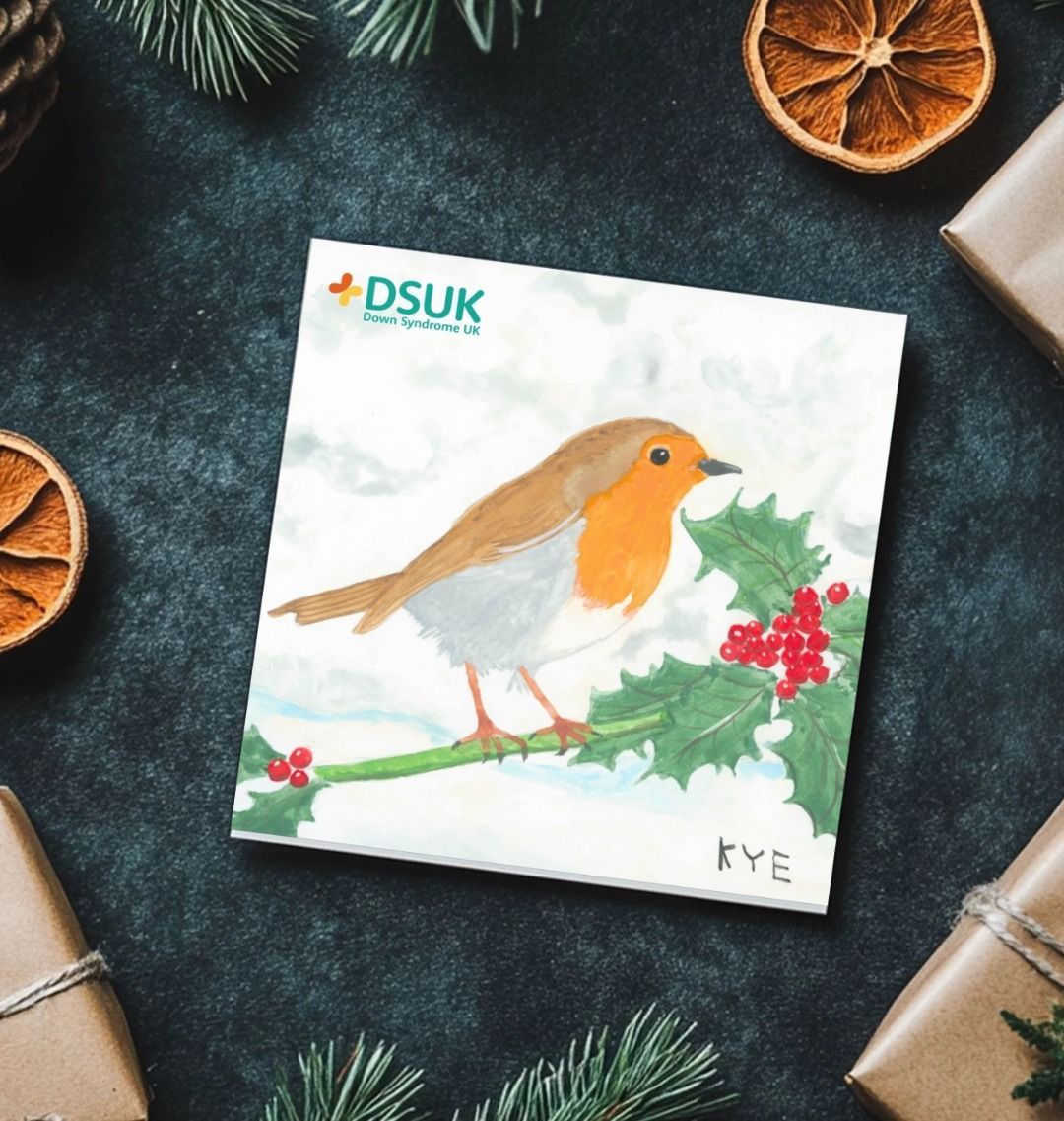 'Robin and holly' – Christmas card by Kye Watson