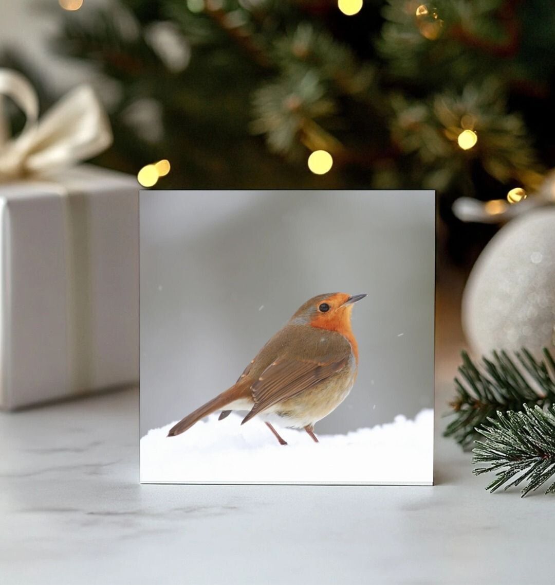 'Winter robin' – Christmas card by Oliver Hellowell